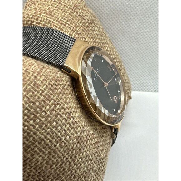 Skagen SKW2120 Women's Gray Stainless Steel Mesh Analog Dial Quartz Watch JNA907 - Picture 3 of 11